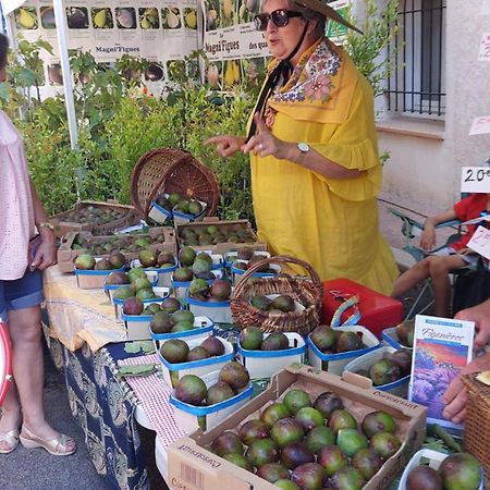 Appartement Charmant En Provence 德拉吉尼昂 外观 照片