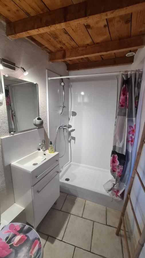 Appartement Charmant En Provence 德拉吉尼昂 外观 照片